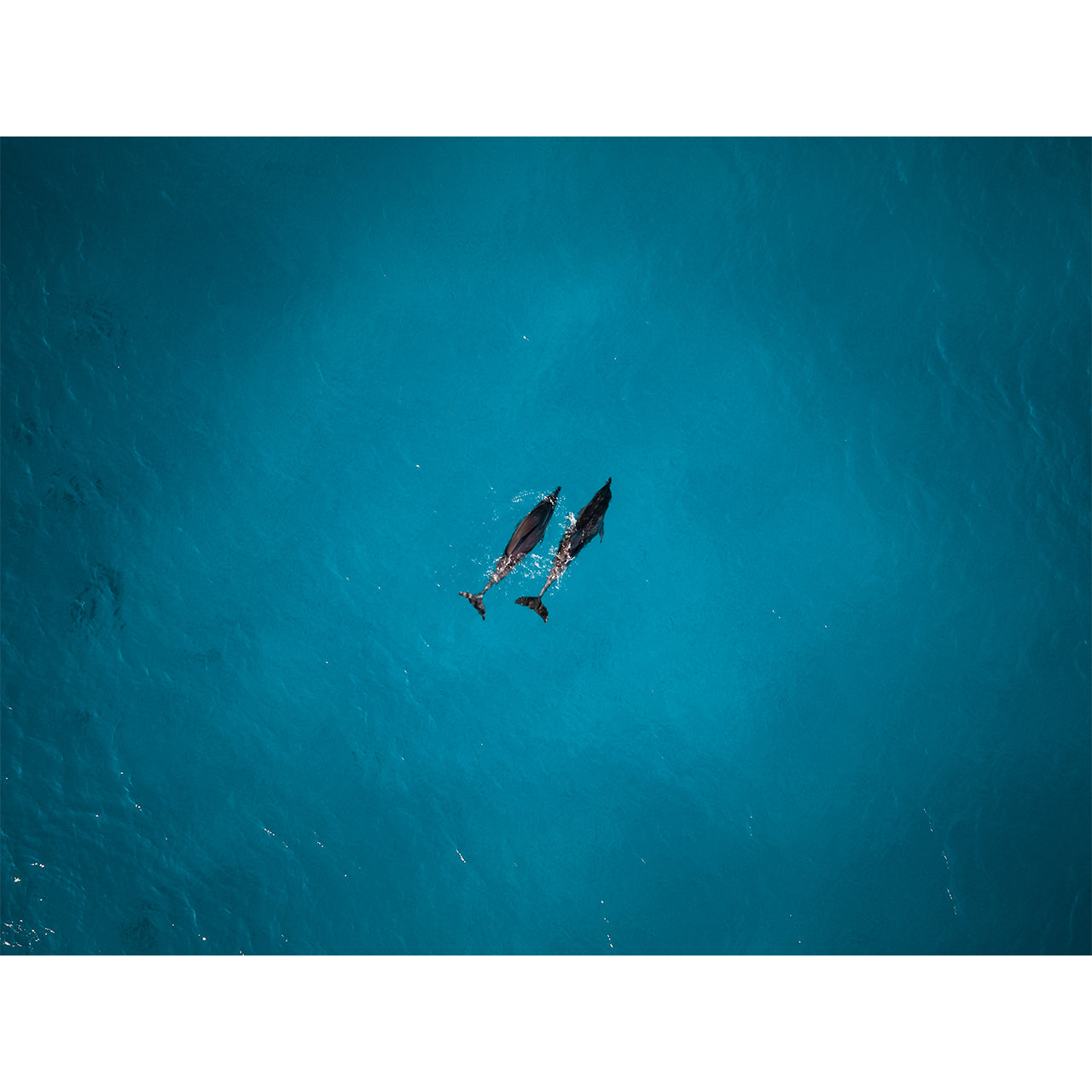 G068 - CAPE LE GRAND